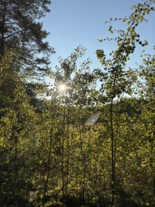 Read more about the article „Nauczyłam się, że spokój to nowy sukces.”