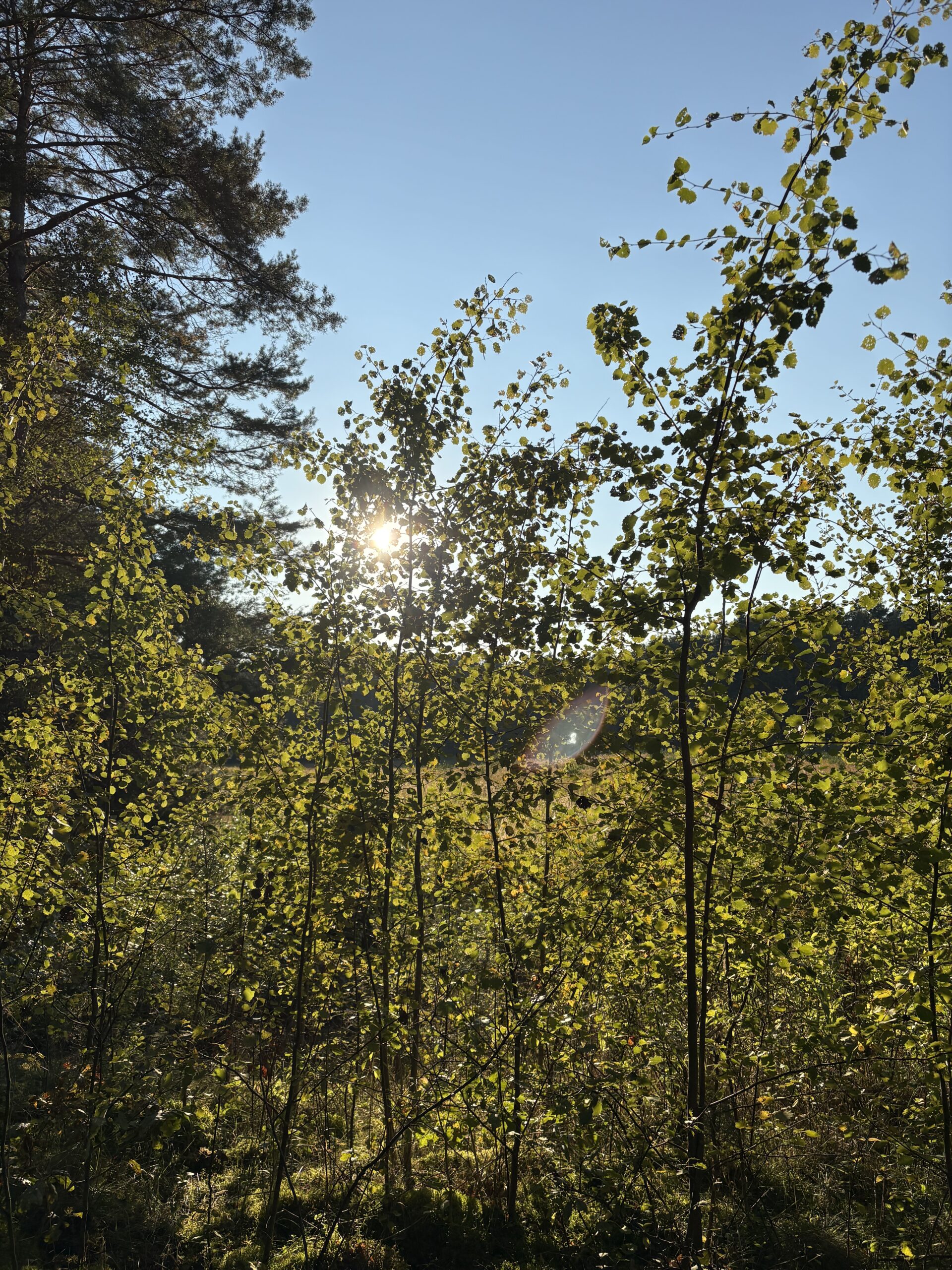 Read more about the article „Nauczyłam się, że spokój to nowy sukces.”