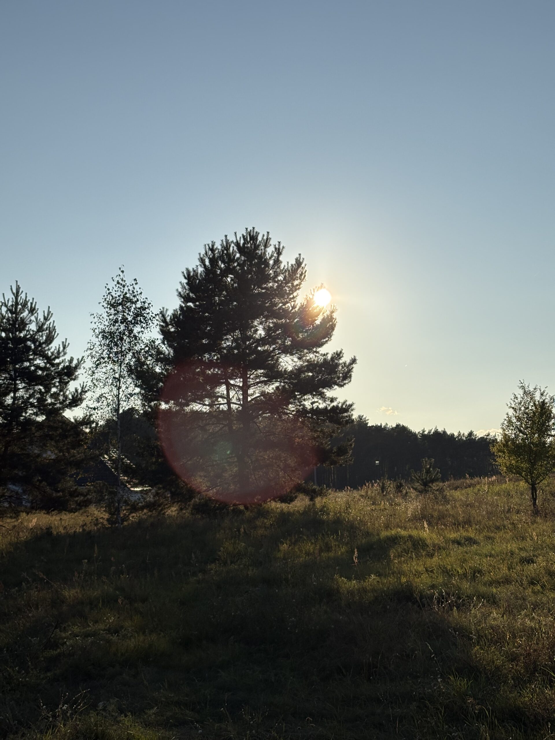 Read more about the article „Doskonałość można osiągnąć wyłącznie przez rozwijanie swoich mocnych stron, a nie przez walkę ze słabościami. (…) Wykorzystuj z pożytkiem swoje silne strony i panuj nad słabościami.”