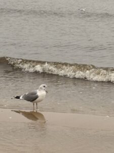 Read more about the article Dlaczego rezygnujemy z bezpieczeństwa pracy na „etacie” na rzecz pracy internetowej/ własnej działalności?