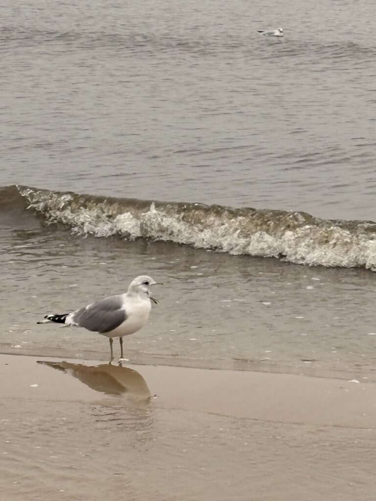 Dlaczego rezygnujemy z bezpieczeństwa pracy na „etacie” na rzecz pracy internetowej/ własnej działalności?